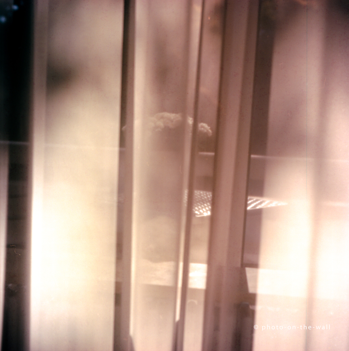 potw-marcebert-gardine