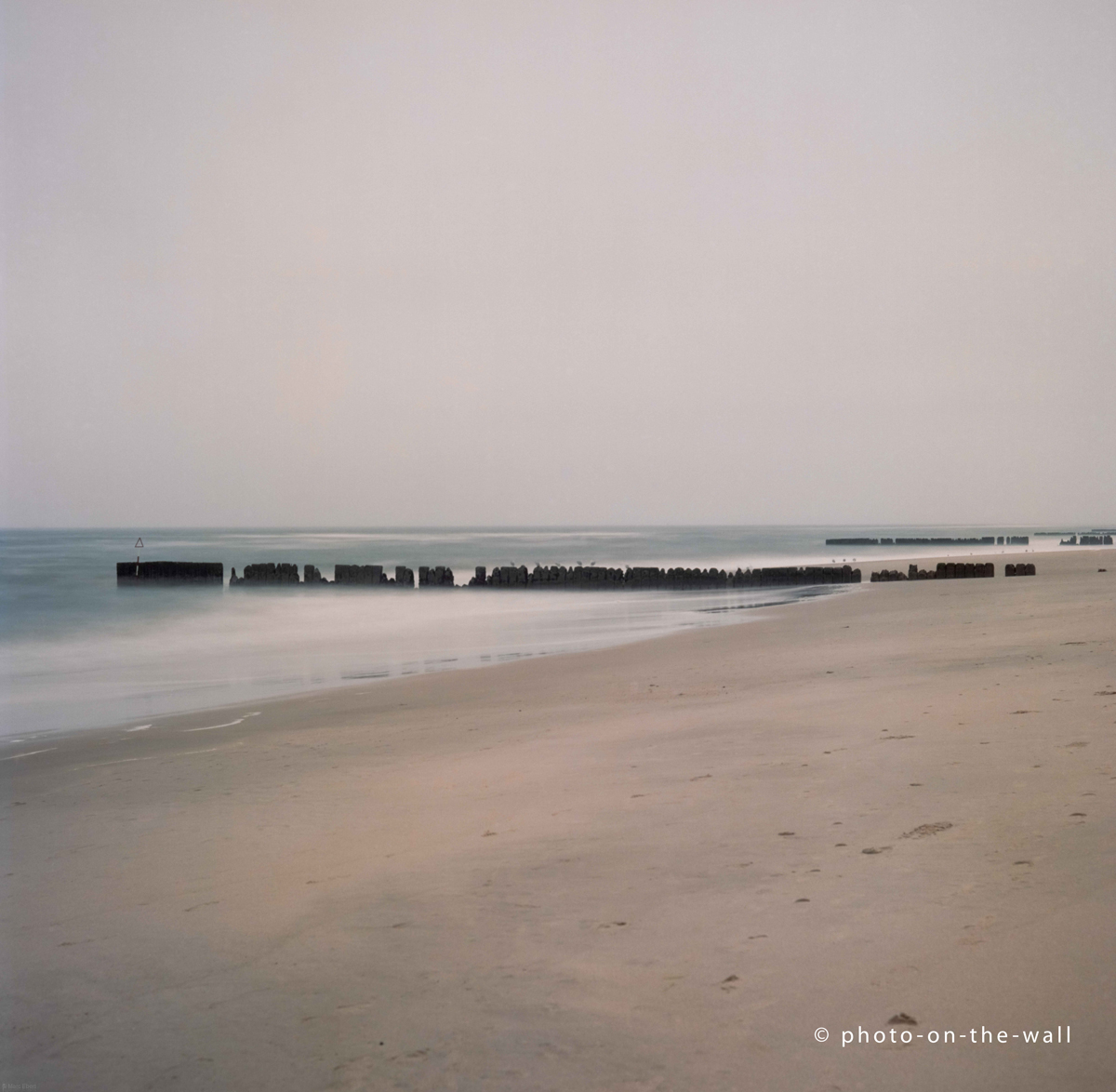 potw-marcebert-syltdune