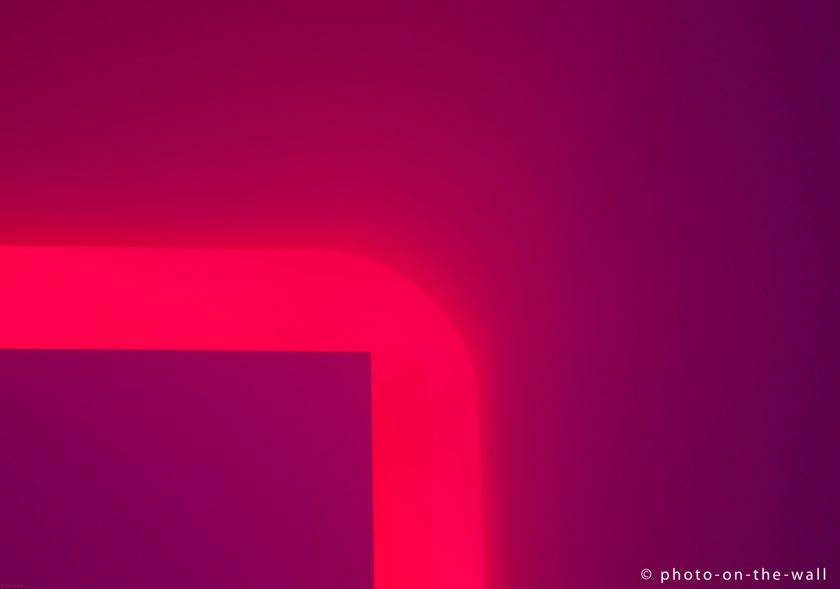 potw-marcebert-violettedge