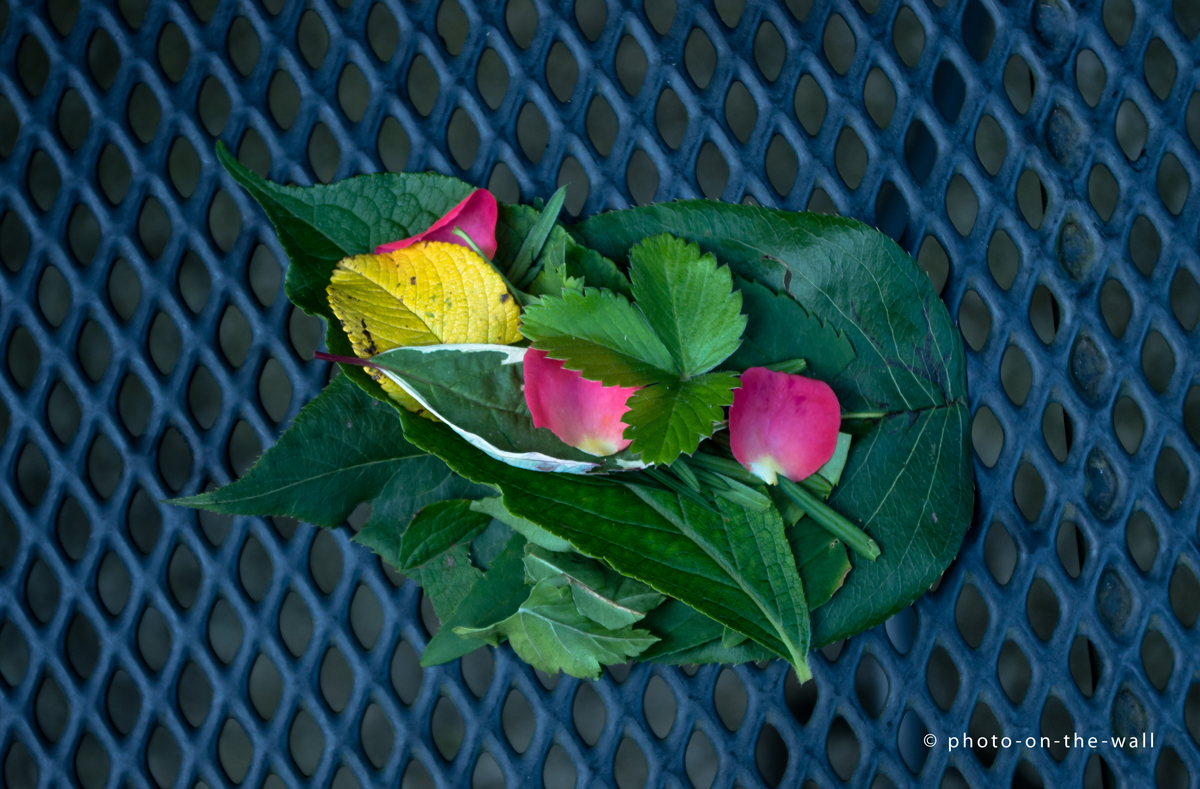 potw-marcebert-blumengericht