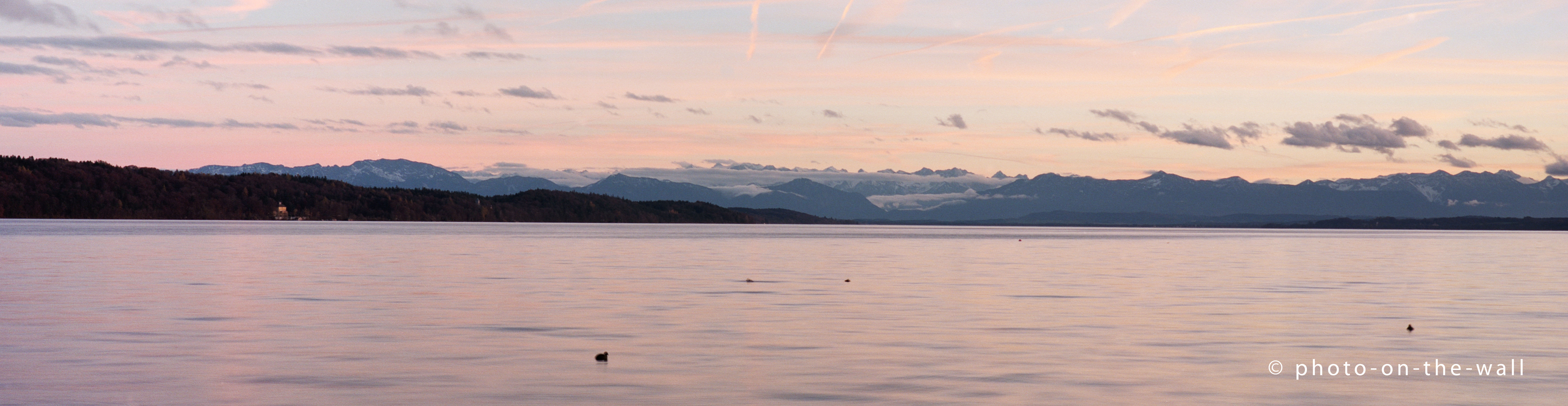 potw-marcebert-starnview